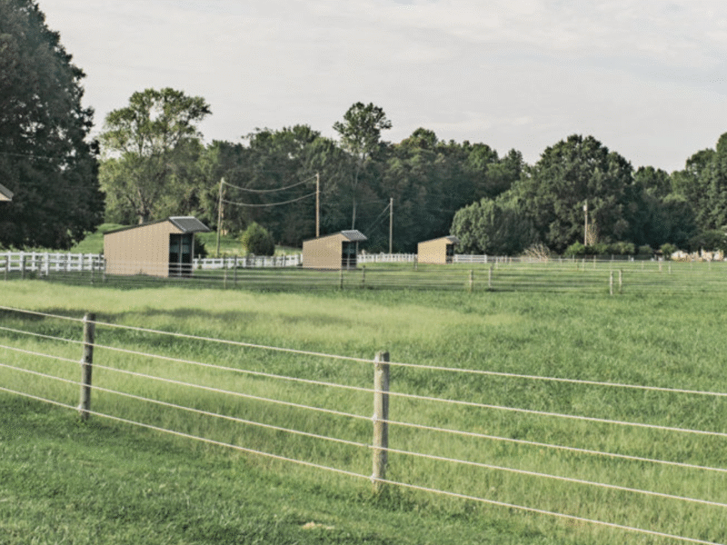 Kingfisher Park Equestrian